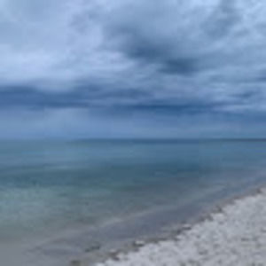 Meet your Posher, Jane